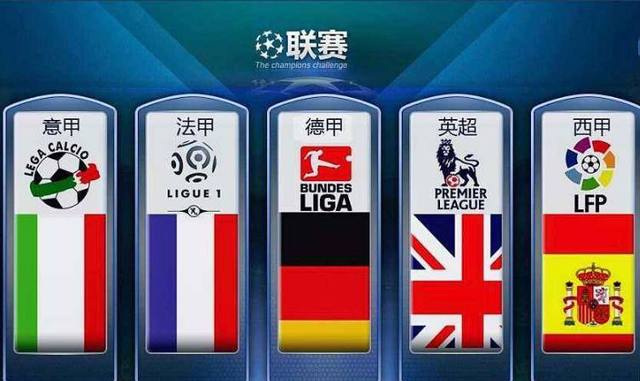 结合王楚钦